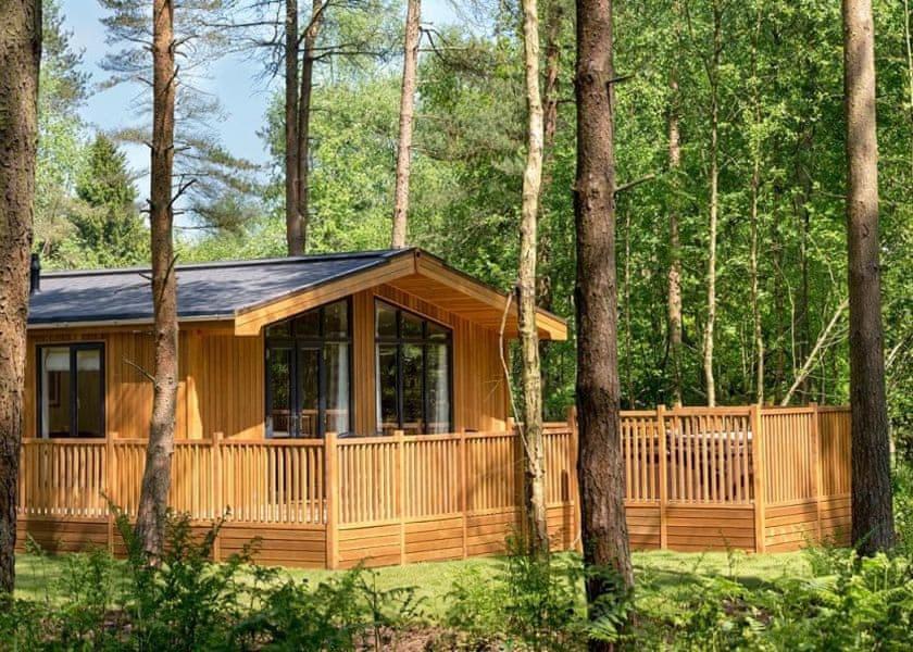 فندق غريت روسليفي  Landal Darwin Forest الغرفة الصورة