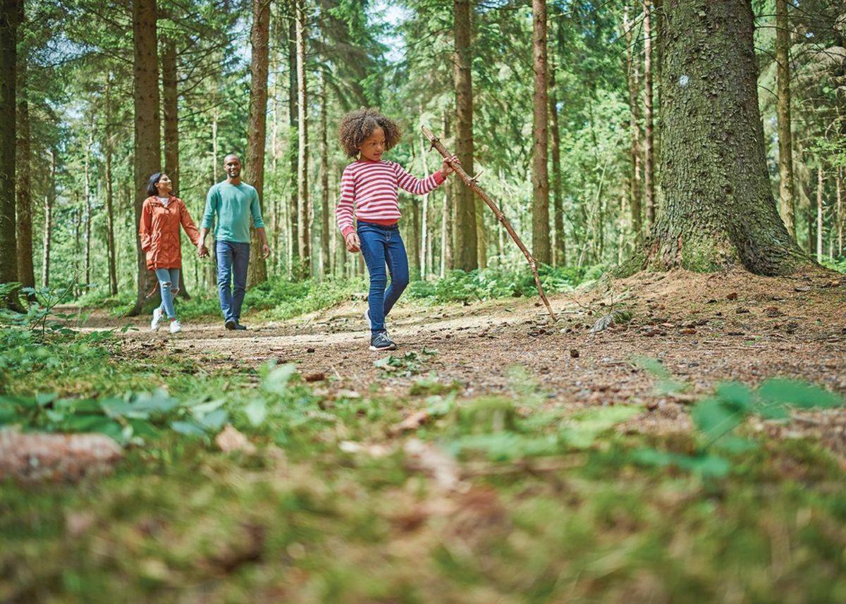 فندق غريت روسليفي  Landal Darwin Forest المظهر الخارجي الصورة